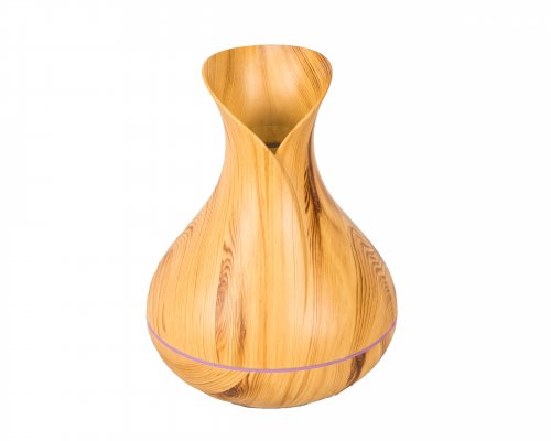 ELECTRIC DIFFUSER-VASE - LIGHT-SORRY SOLD OUT image